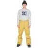 DC Shoes Men's Banshee Pants