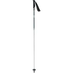 Swix Swix Excalibur Ski Pole -Ski Equipment swix excalibur ski pole light all